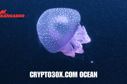 crypto30x.com ocean