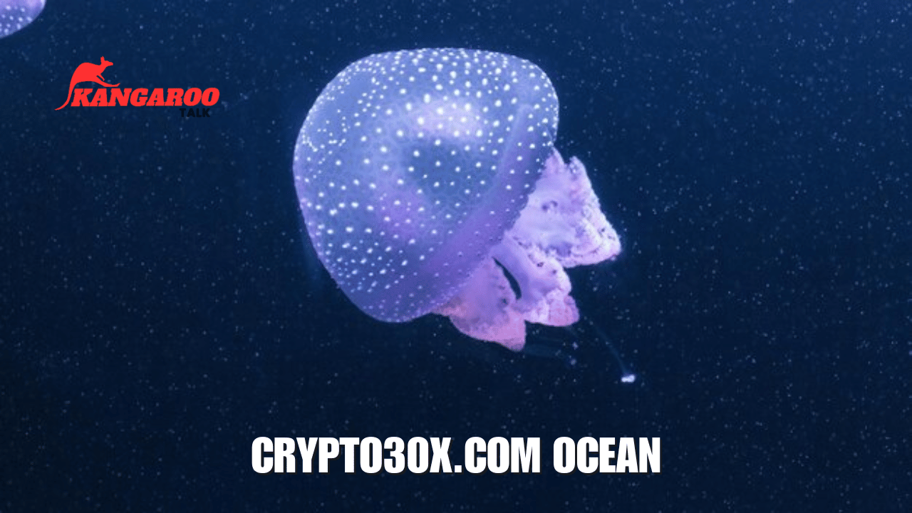 crypto30x.com ocean