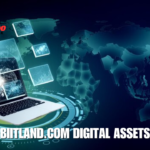 biitland.com digital assets