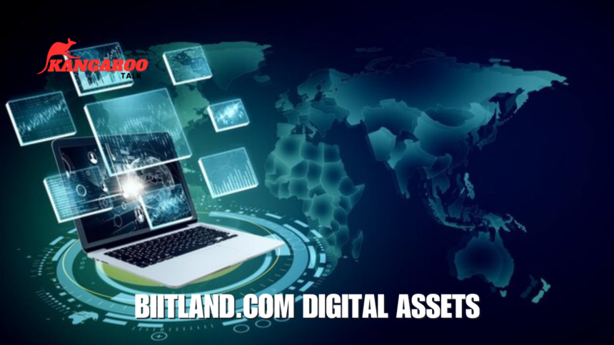 biitland.com digital assets